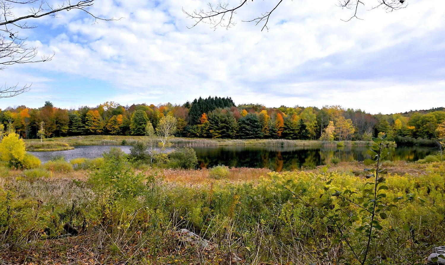 Columbia County NY Real Estate Homes & Property For Sale With Old