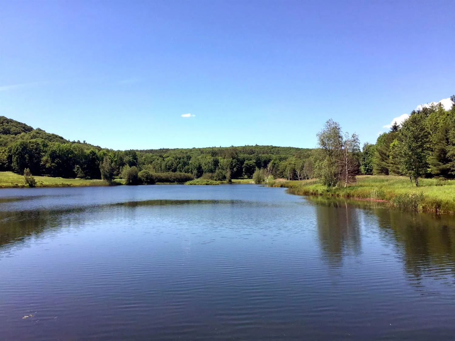 Canaan NY property for sale MLS Land Listing Columbia County Real