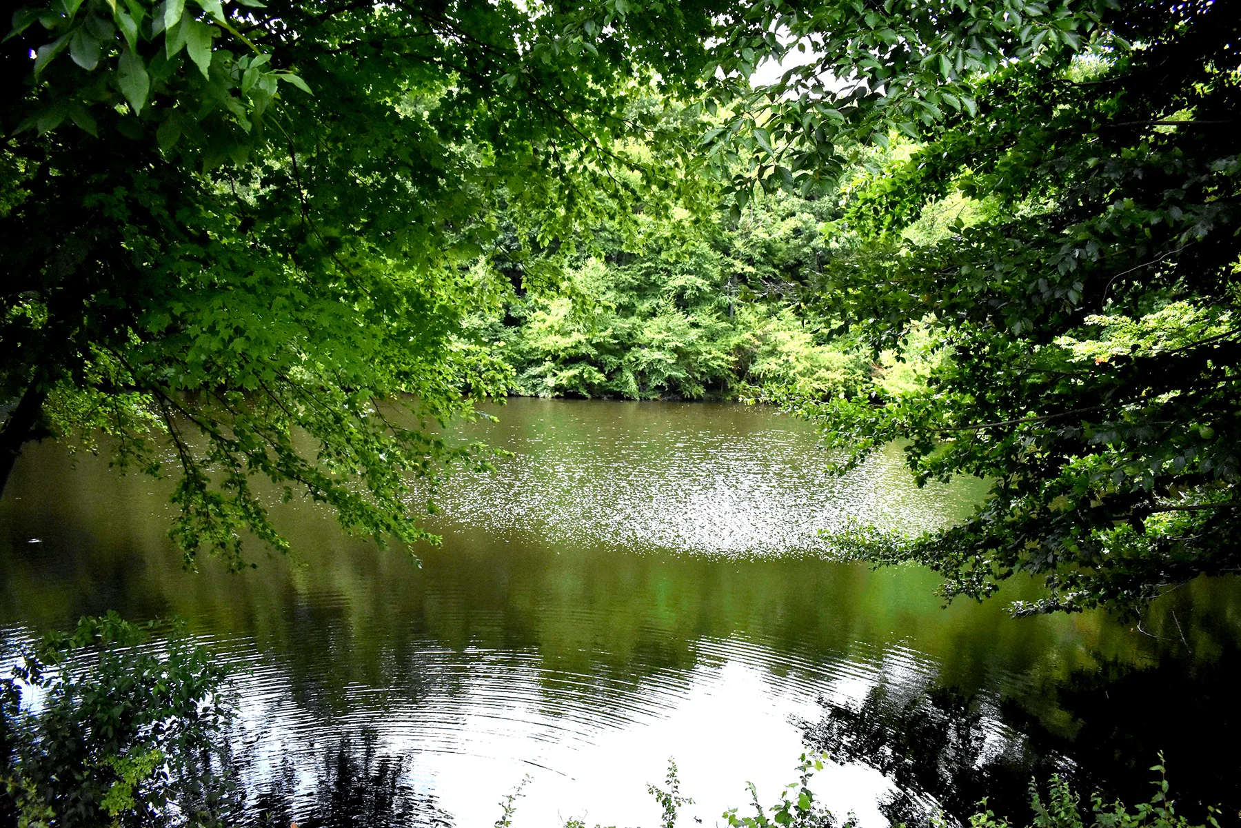 DSC_0001.jpg
