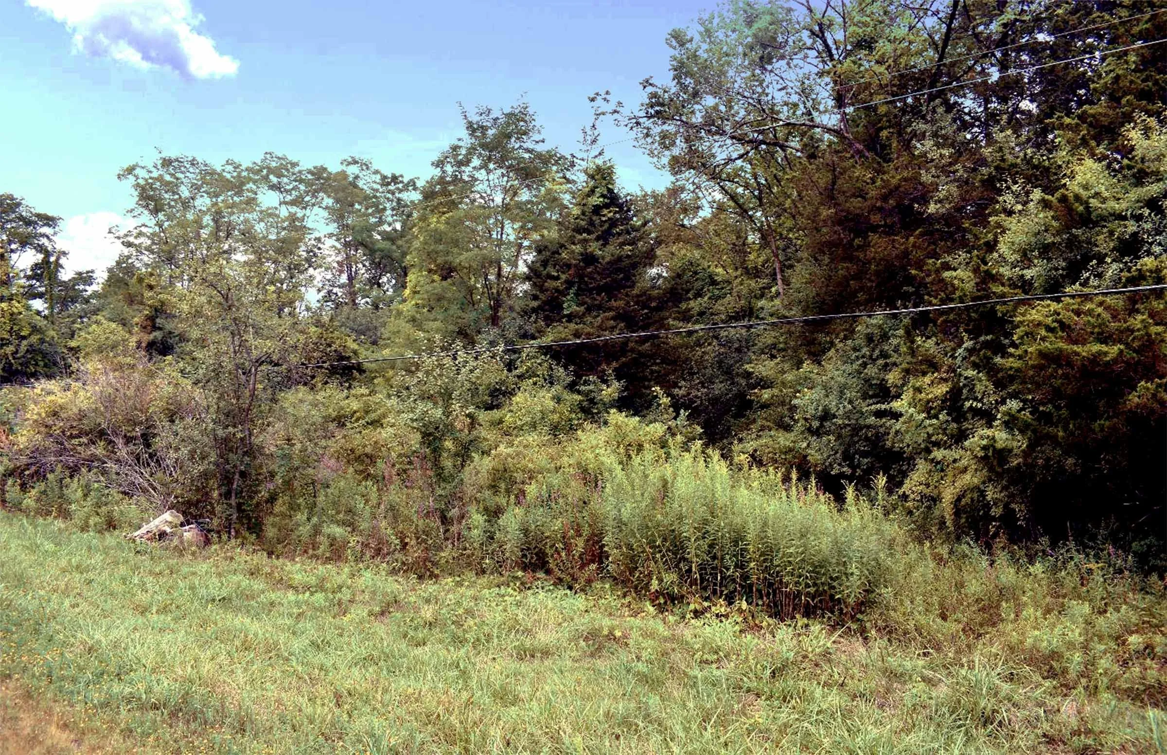 Stuyvesant NY property for sale MLS Land Listing Columbia County