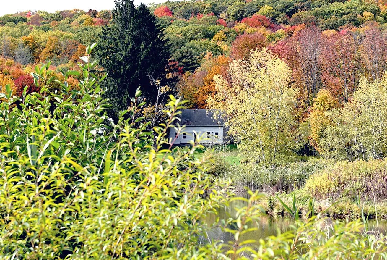 Canaan NY property for sale MLS Land Listing Columbia County Real