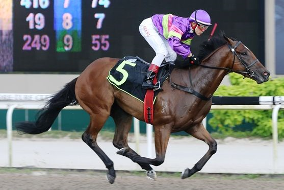 Countofmontecristo thoroughbrednews.com.au.png