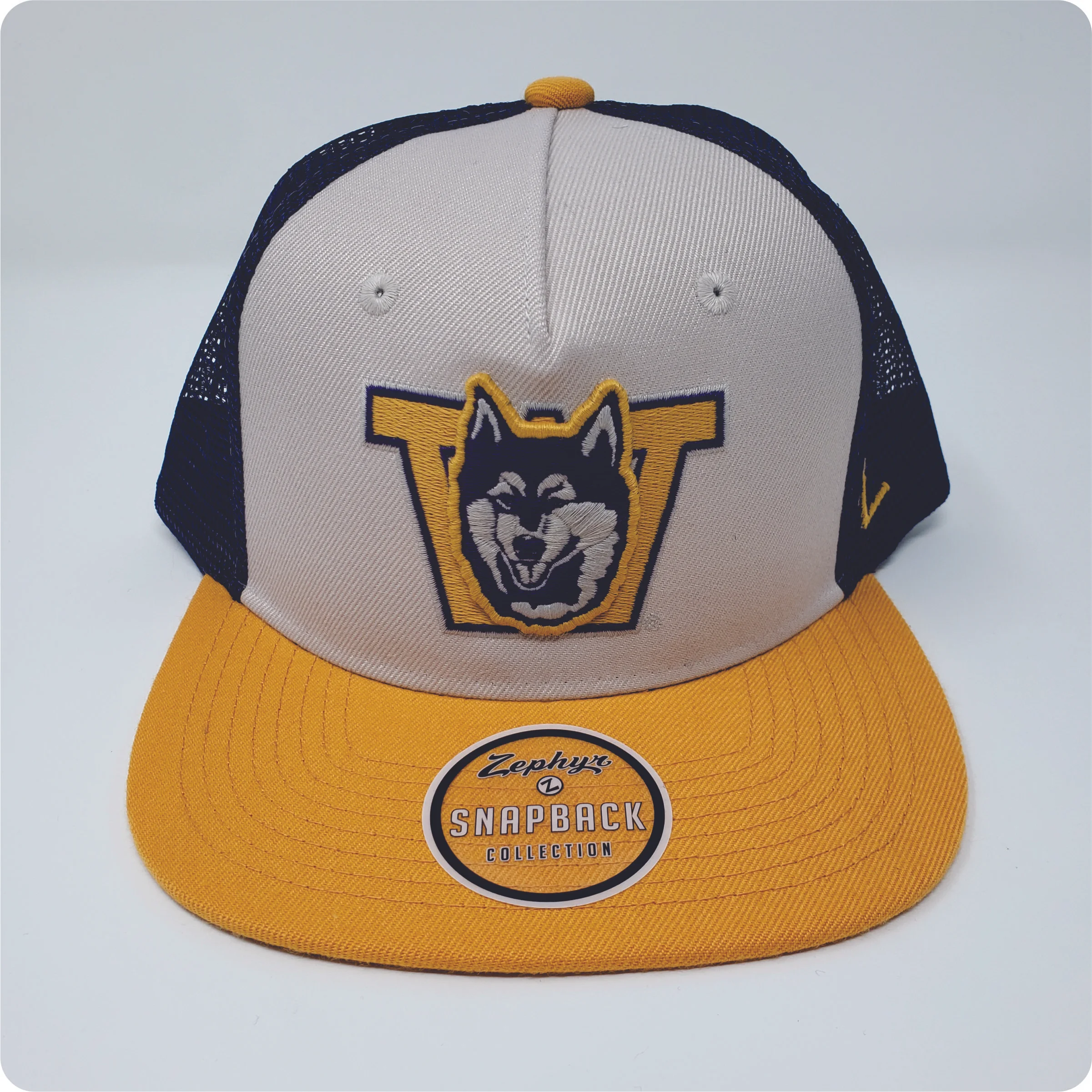 University of Washington Paradigm Hat 