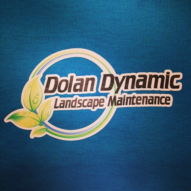 Dolan Dynamic Landscape Digital Print.jpg