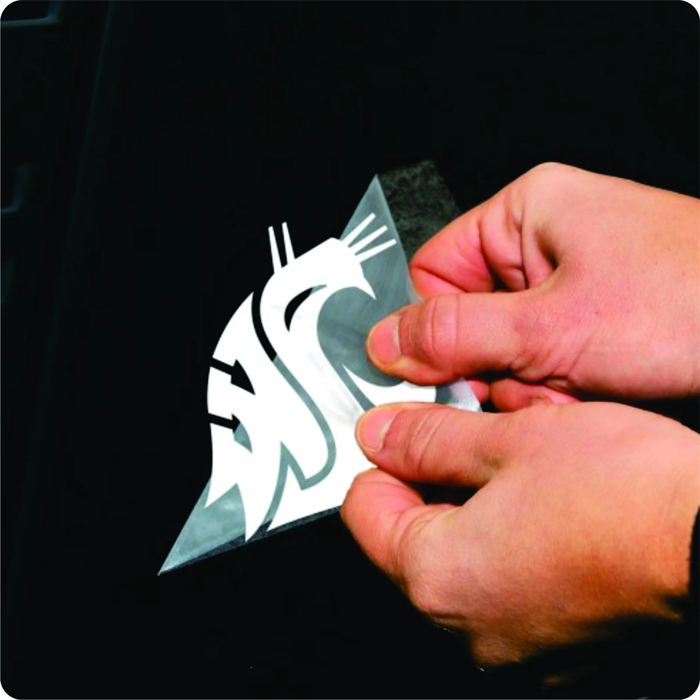 Perfect Cut White Decal 4x4in, WSU Sample.jpg