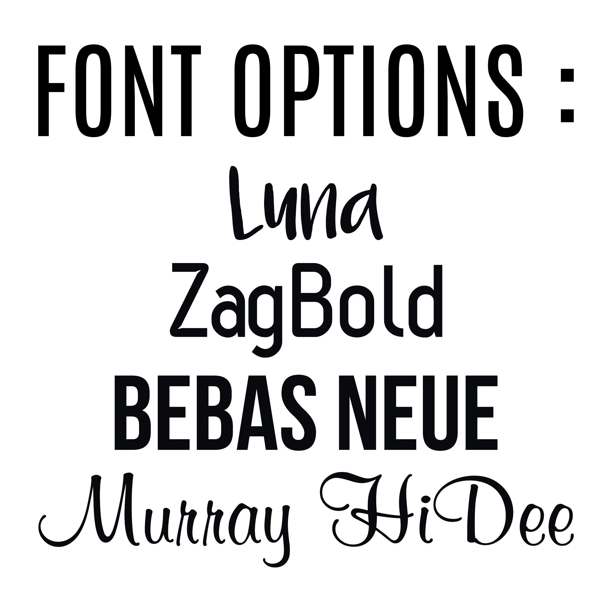 Cubbies Blankets Font Options.jpg