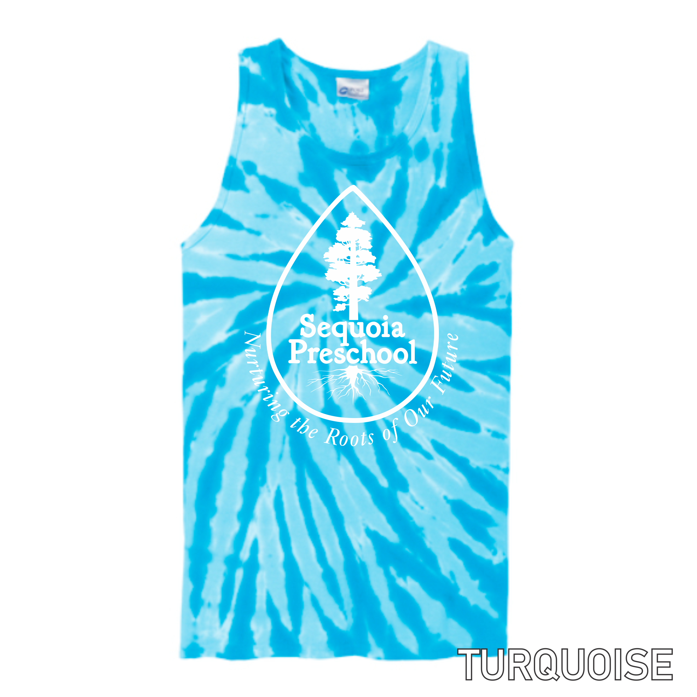 PC147TT Turquoise.png