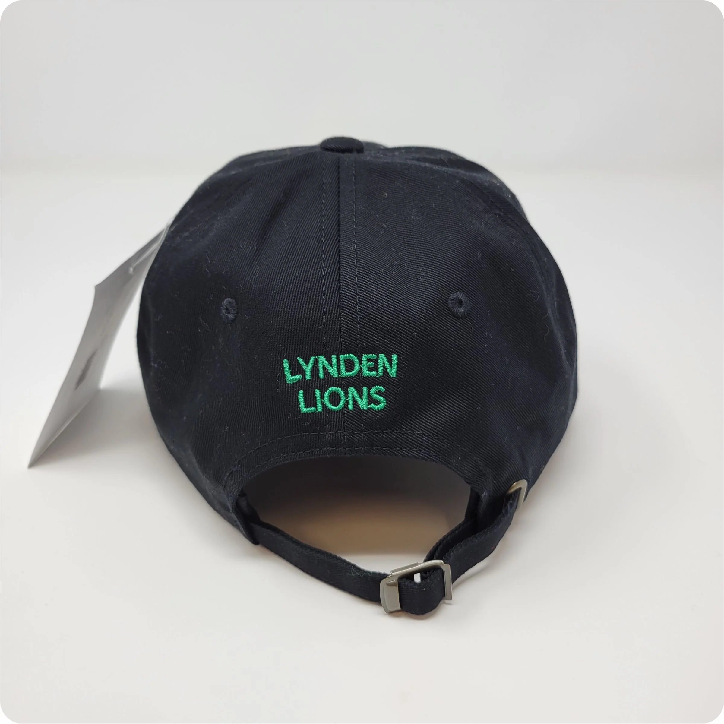 6245CM Dad Hat, Lynden Lions Paw, Back.jpg