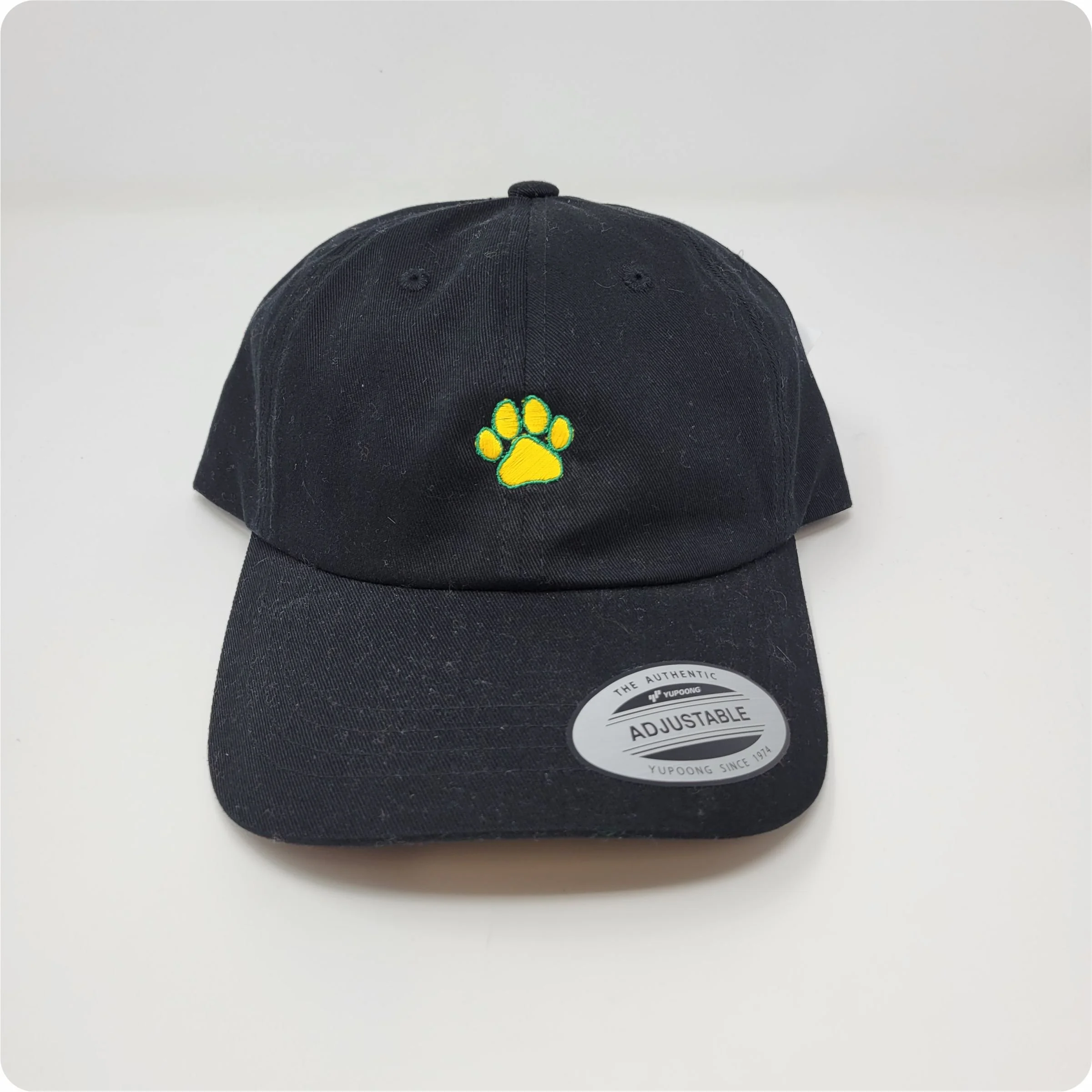 6245CM Dad Hat, Lynden Lions PAw.jpg