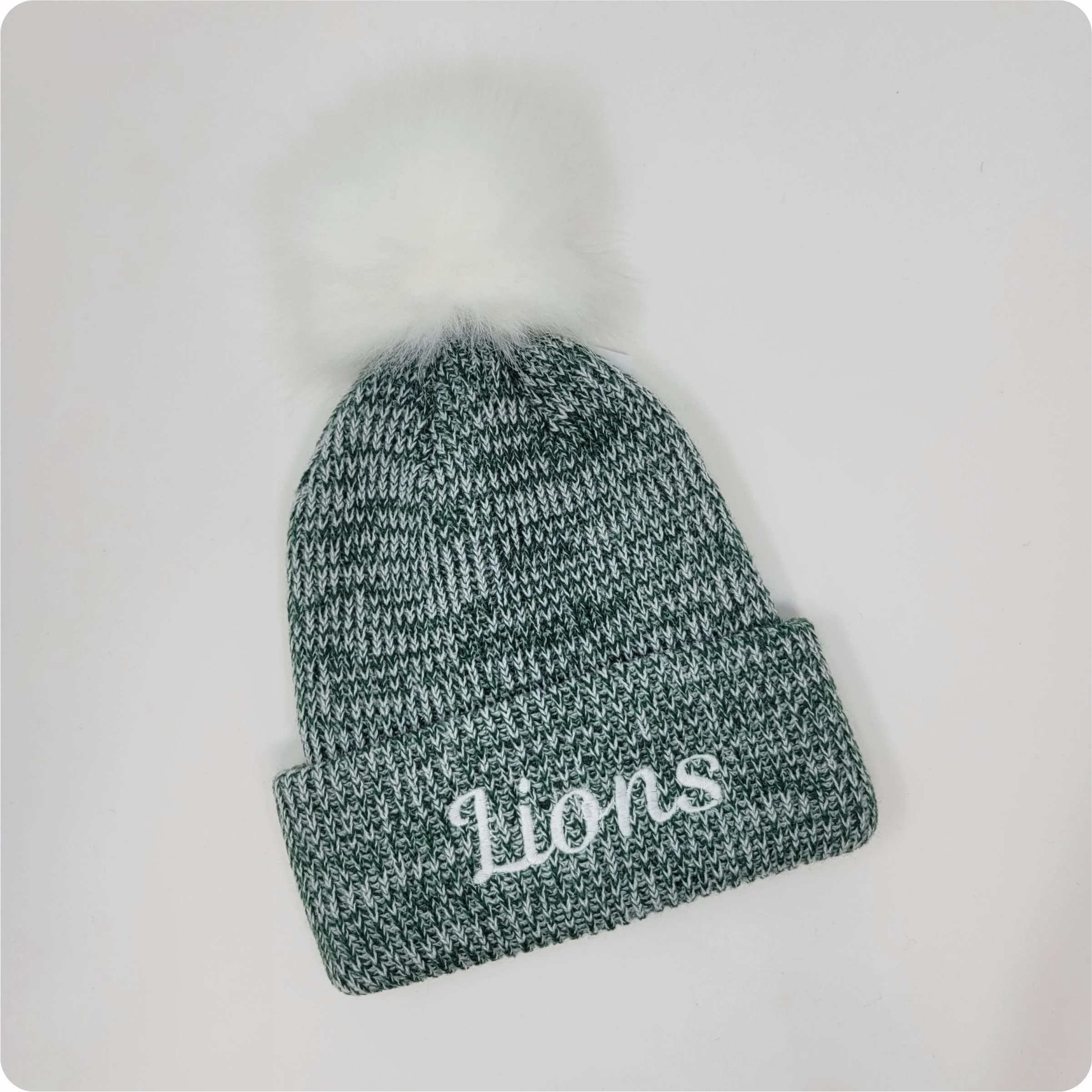 P604K Lions.jpg
