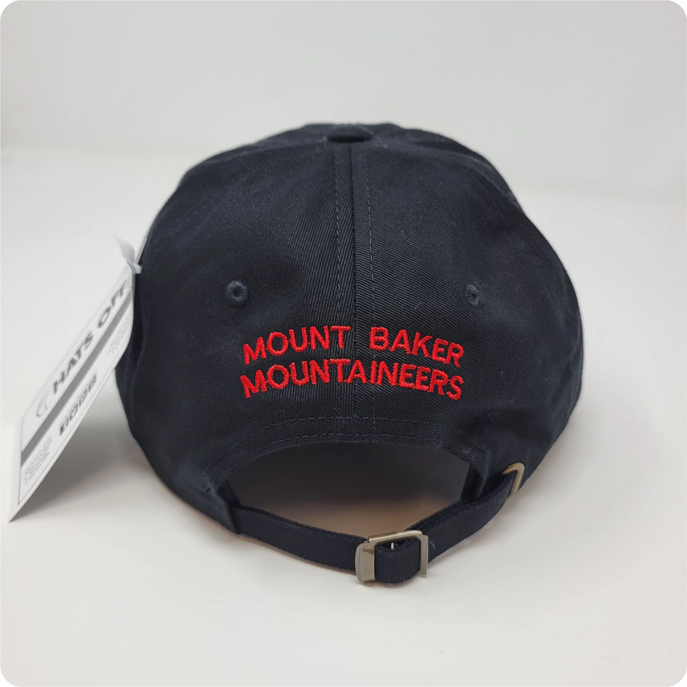 6245CM Dad Hat, MB Back.jpg