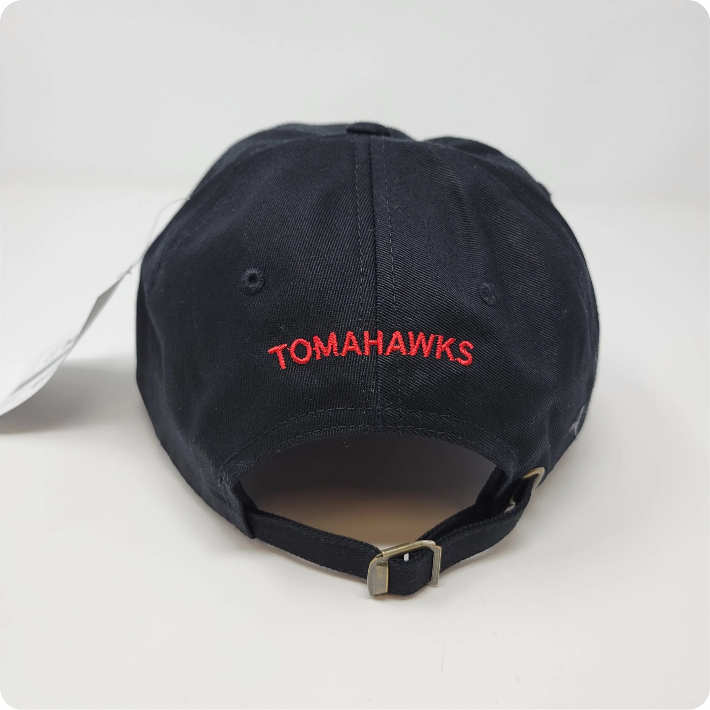 6245CM Dad Hat, MP Back.jpg