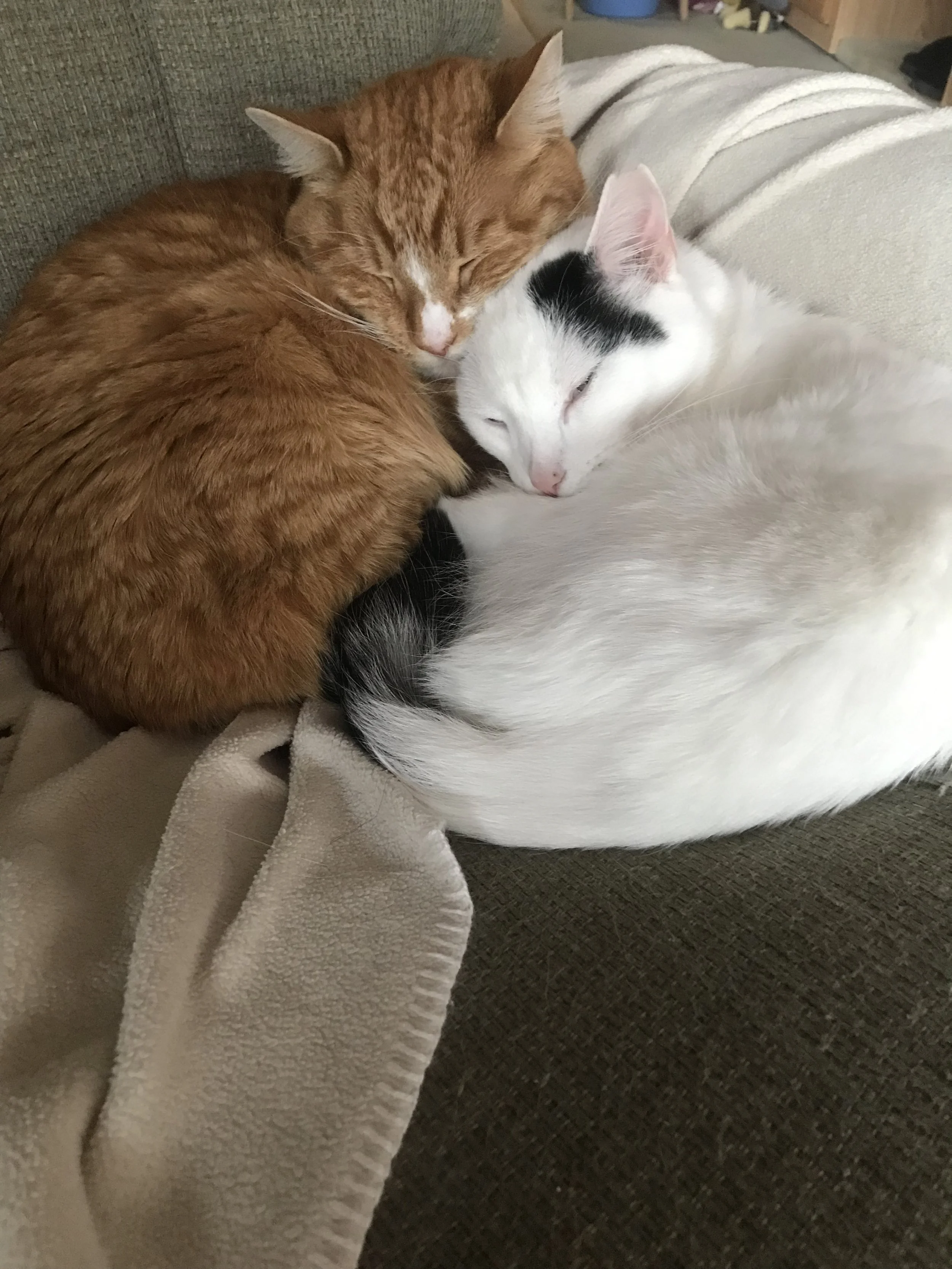 2019-01-25 10.14.36.jpg