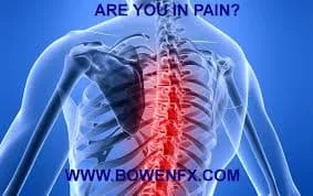 bowen skeleton.jpg