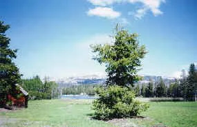 DUCKE_LAKE.jpg