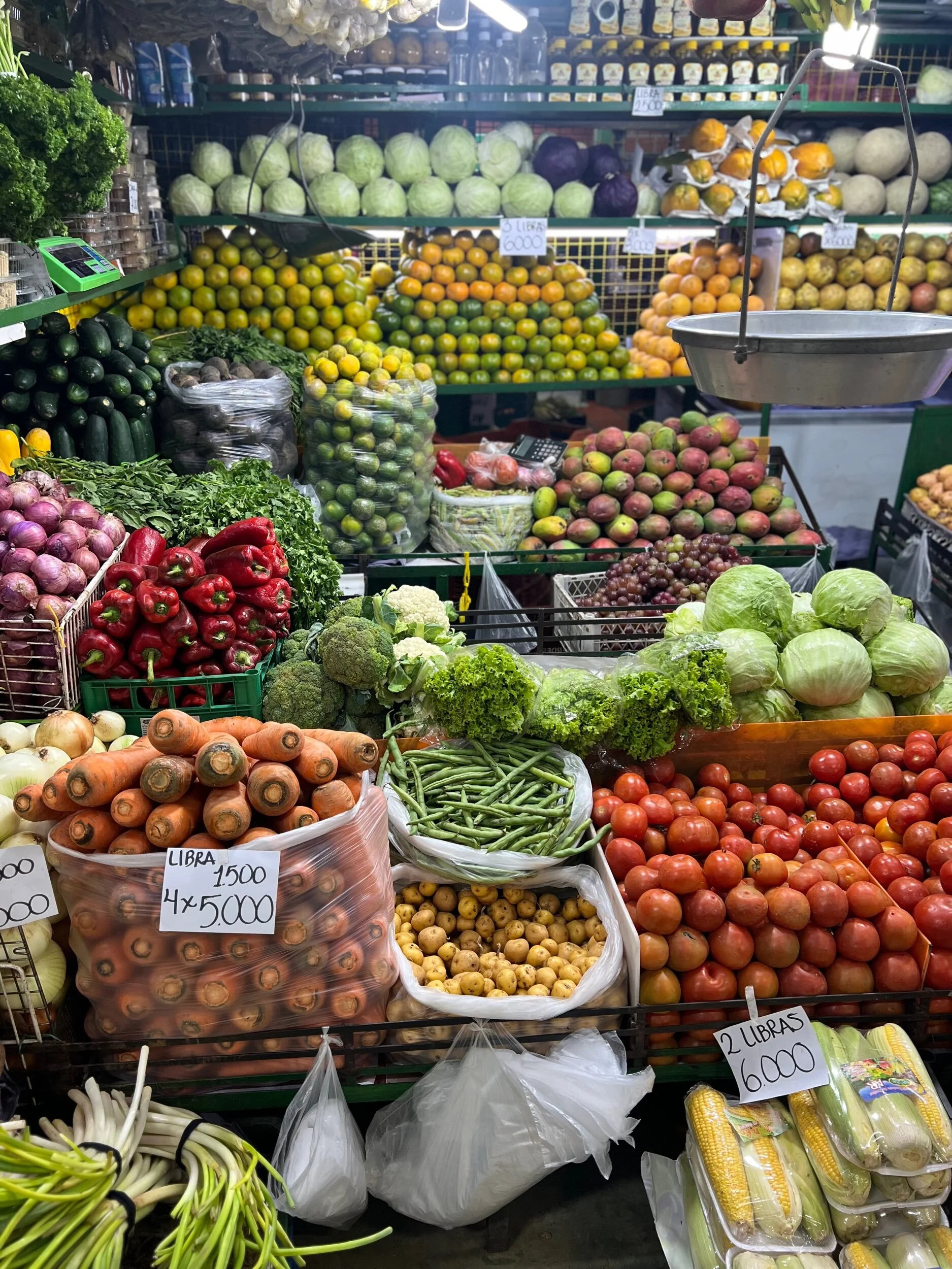 2393F379-B009-48B0-9363-13DBEF7D43B0