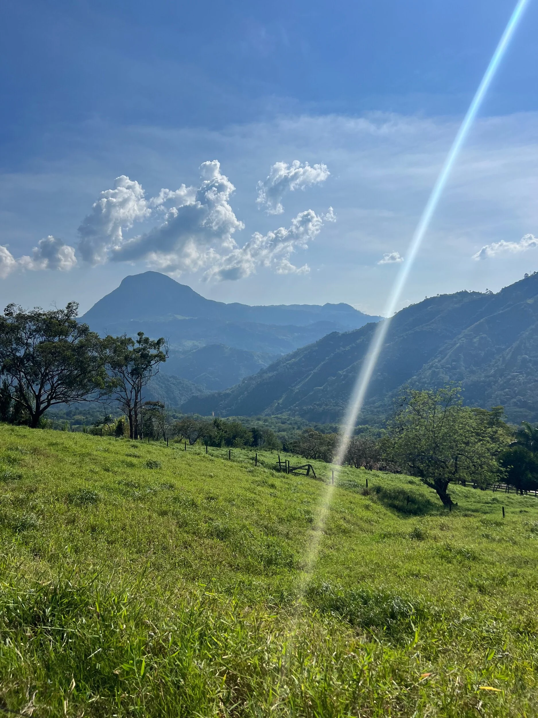 788A9451-279F-4FF3-A072-8C19E8F5EABB