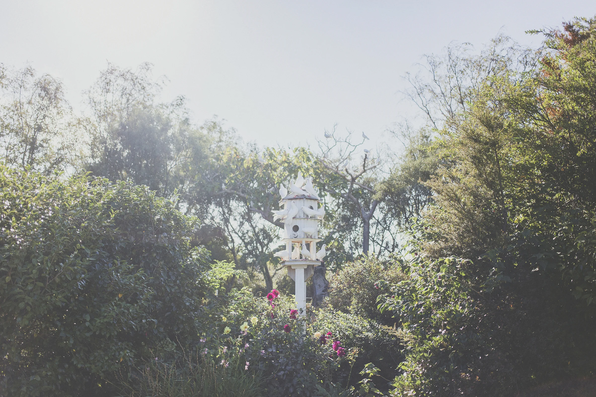 How to choose your Wairarapa wedding Venue