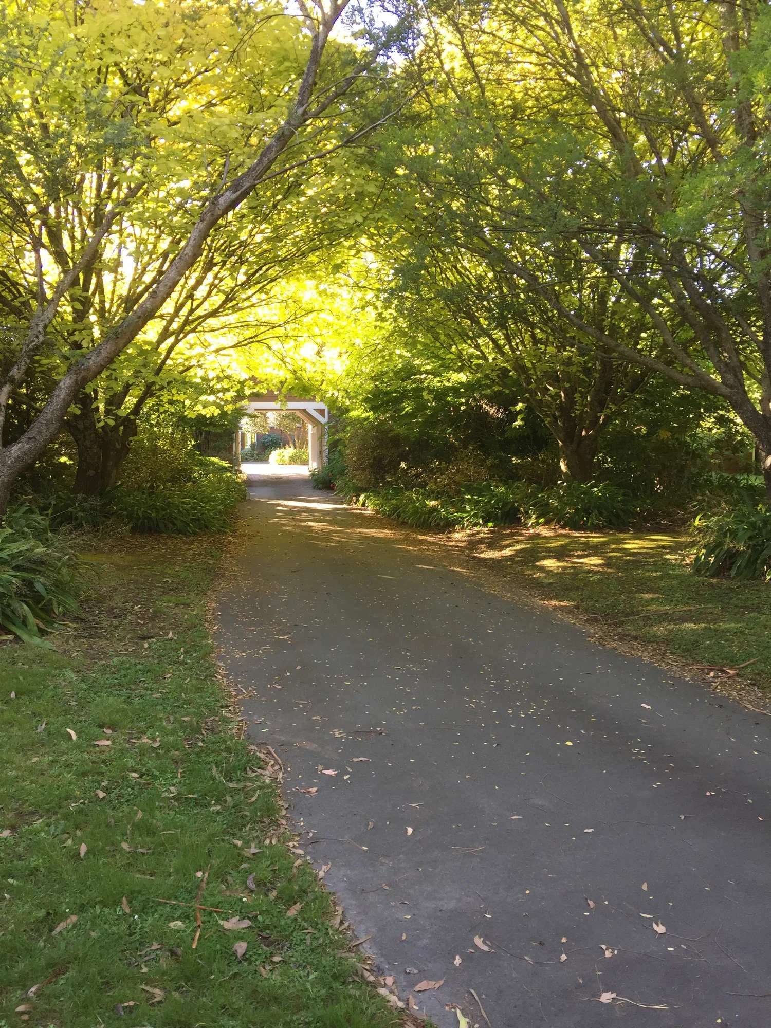 The-lodge-Wedding-venue-007.JPG