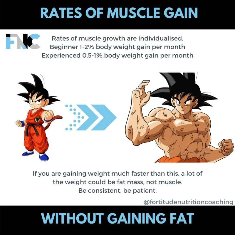 Fortitude Nutrition Coaching Muscle Gain without Fat.jpg