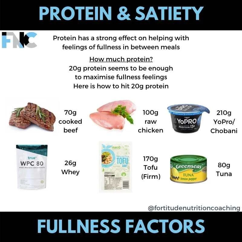 Fortitude Nutrition Coaching - Protein and Satiety.jpg