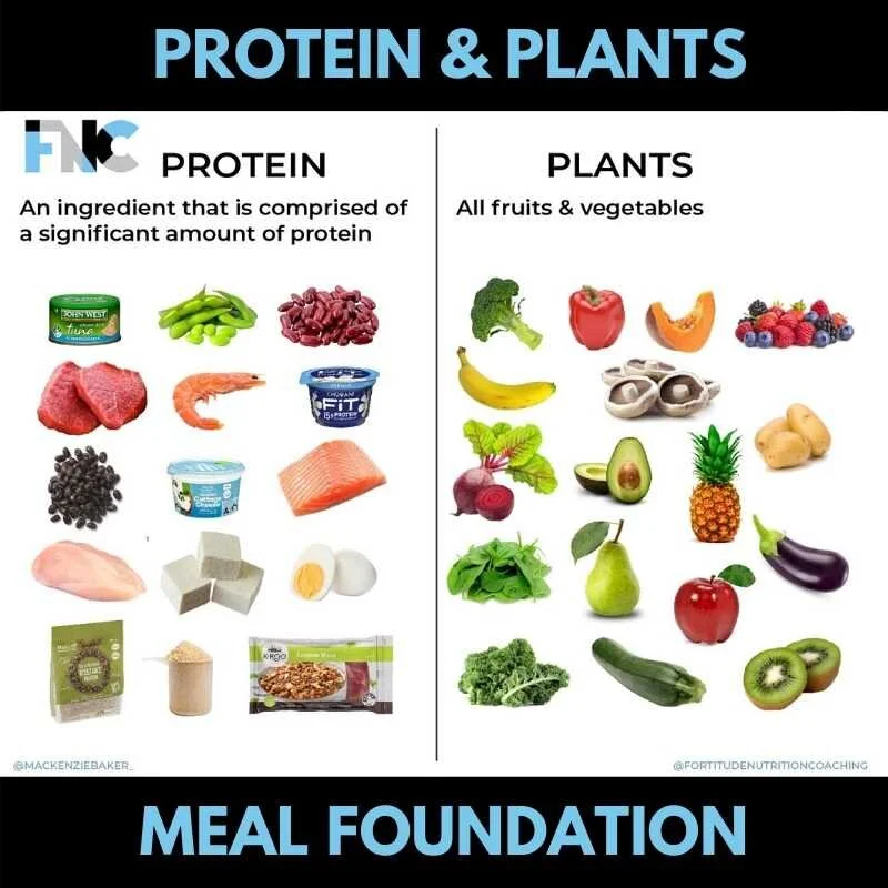 TeamFNC Nutrition - Protein and Plants (1).jpg