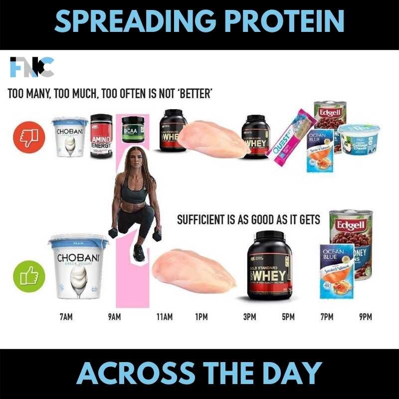 Fortitude Nutrition Coaching - OPTIMAL EFFICIENT PROTEIN.jpg