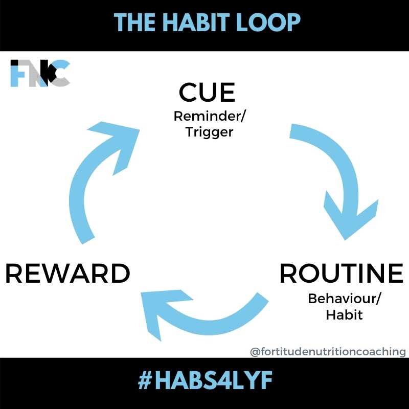 The Habit Loop.jpg