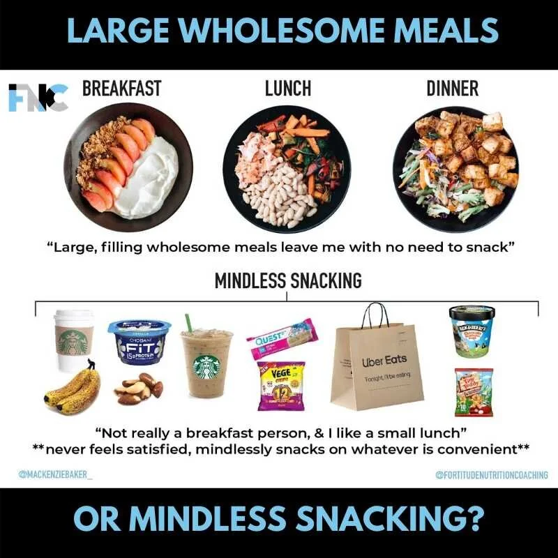 Meals vs Snacking.jpg