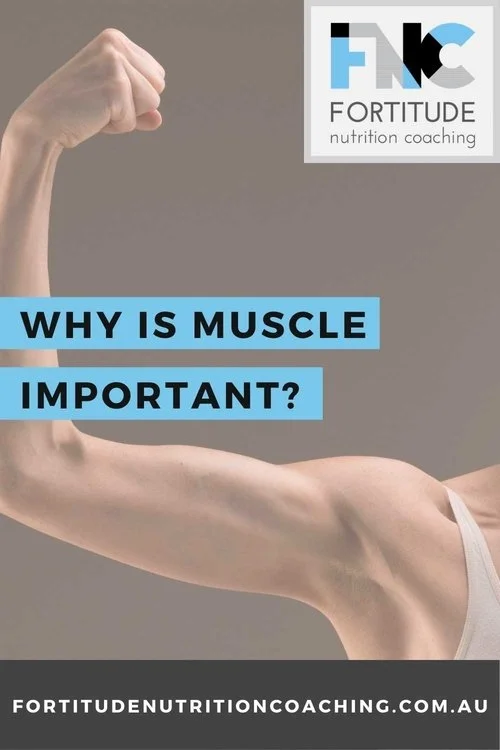 Webp.net-resizeimage (1).jpg