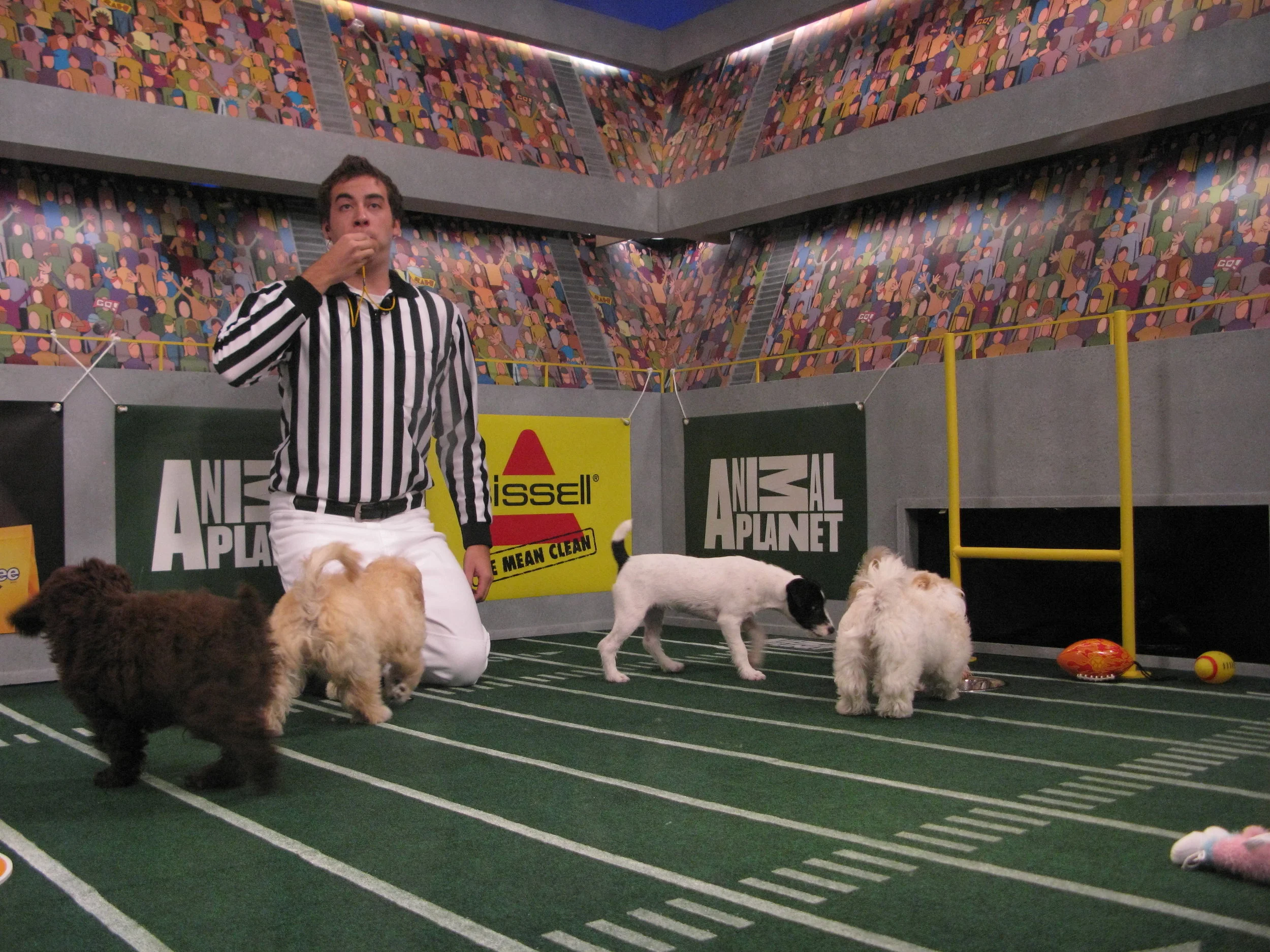 Puppy Bowl Special.jpg