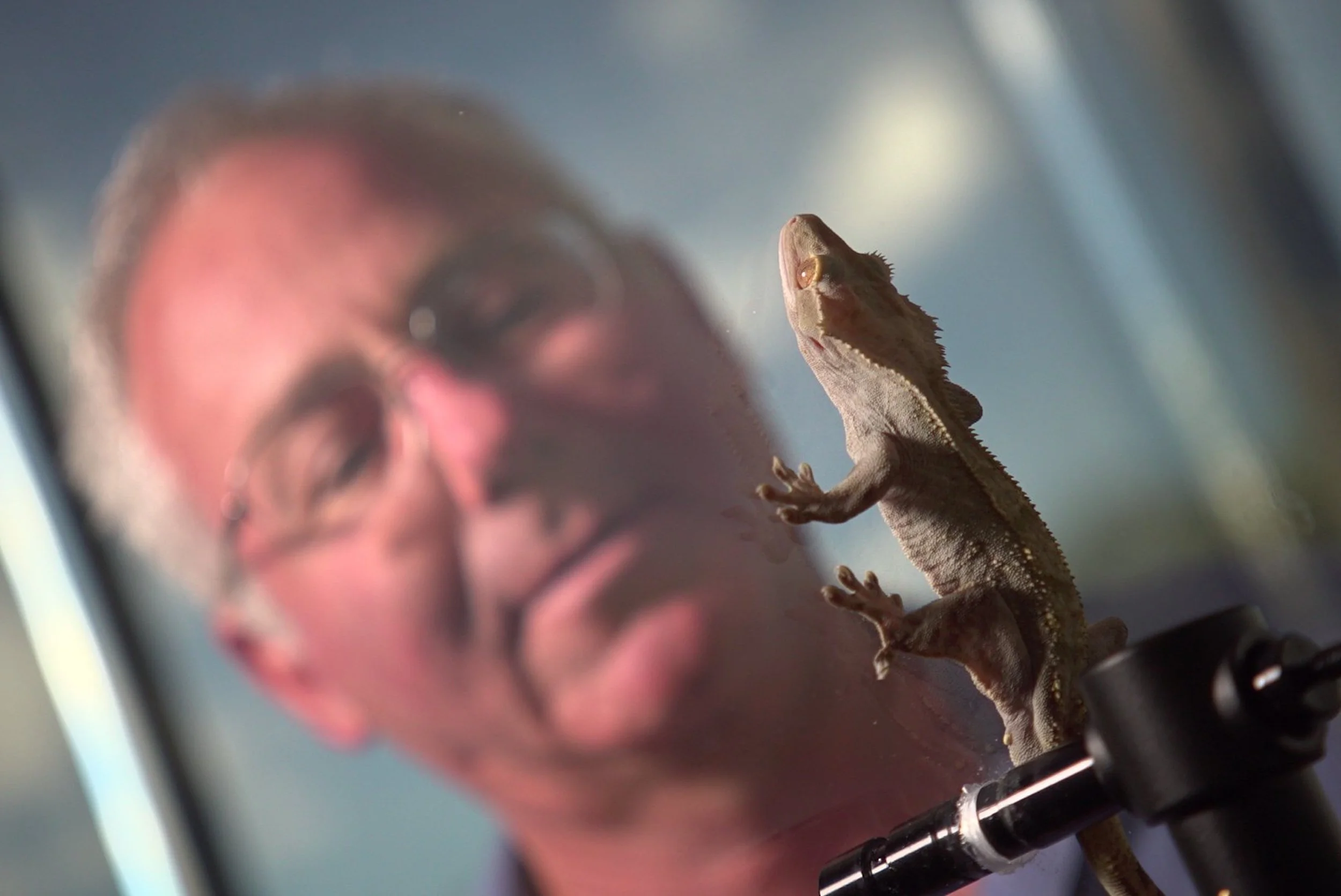 How do Animals do that?.jpg