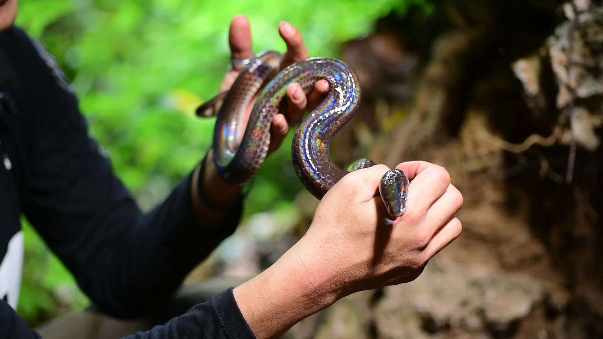 Snake Master 003.jpg