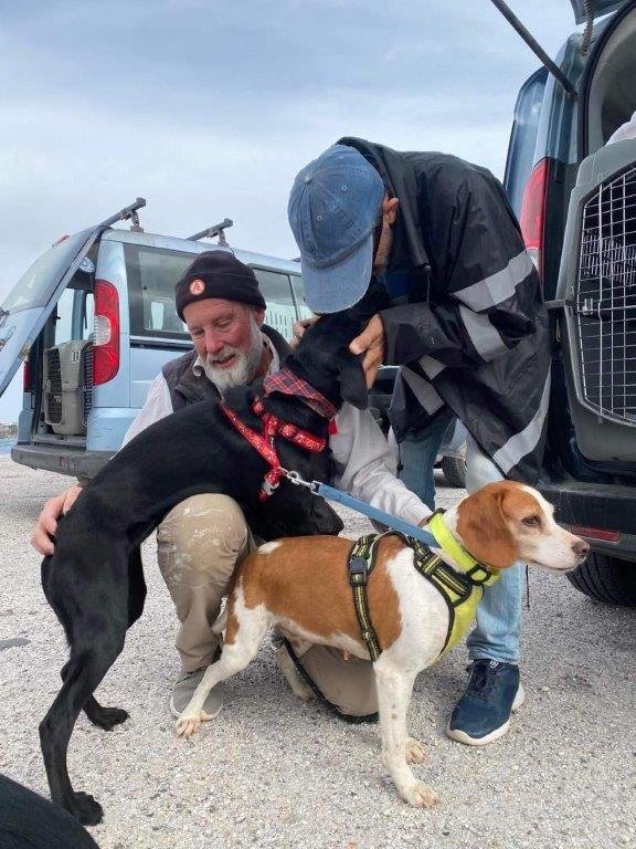   Volunteers help to load our precious pets on the ferry  