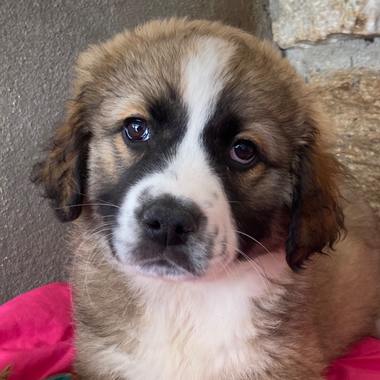 Ronja (reserved)
