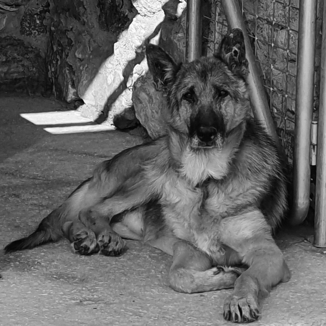 Victor (2009 - 2023)