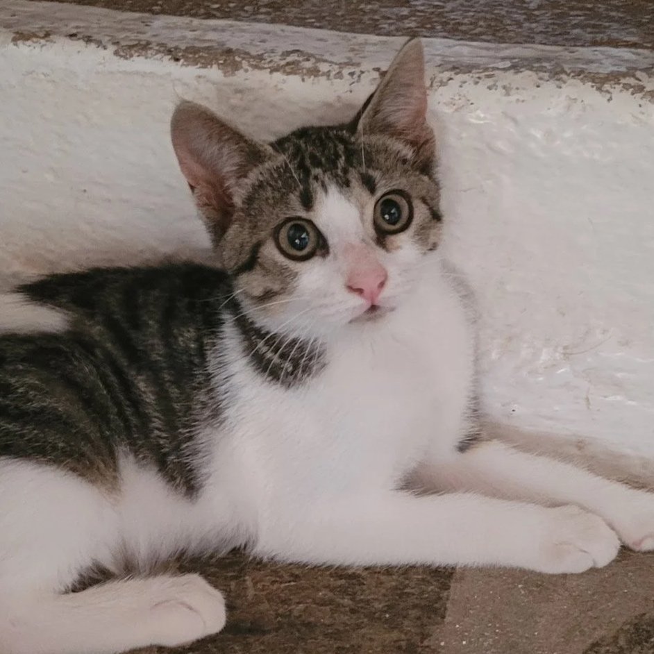 Hera