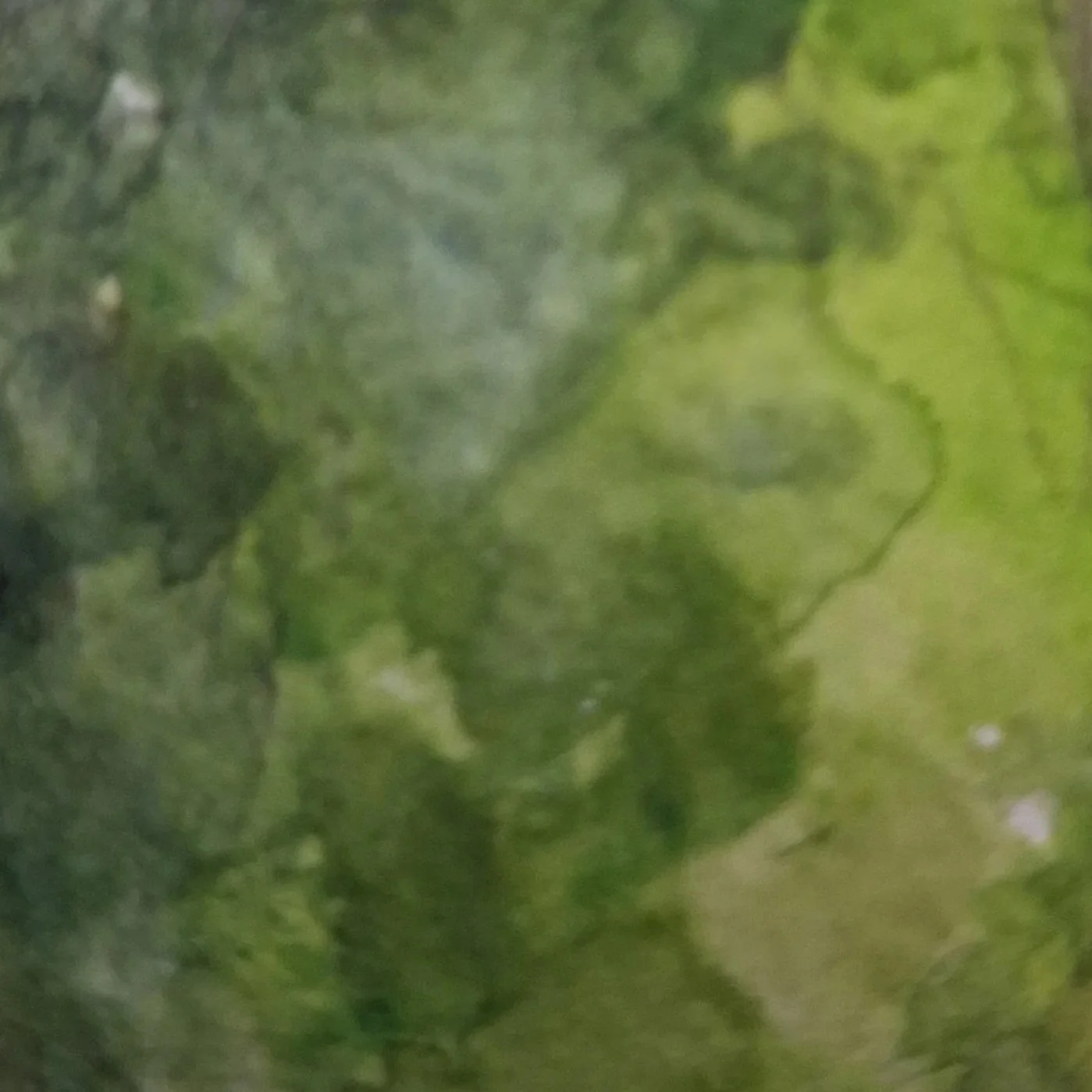 aquarellmalen.jpg