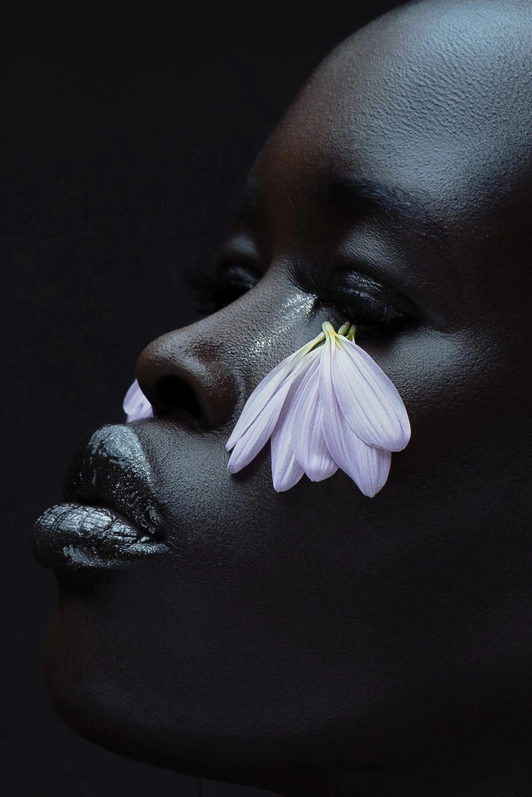 (PURPLE TEARS) Fine Arts