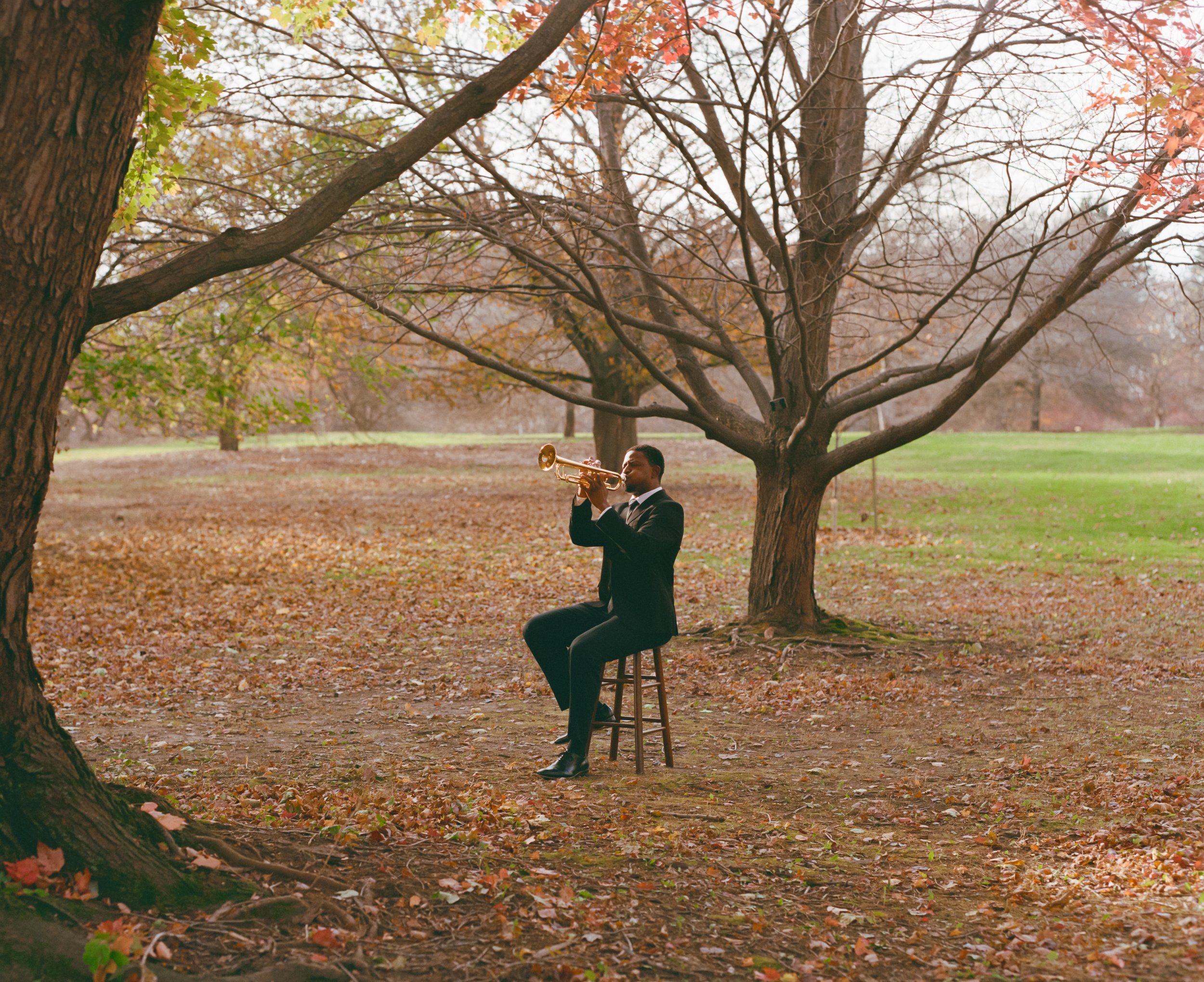 (Jazz In the Park ) Fine Art