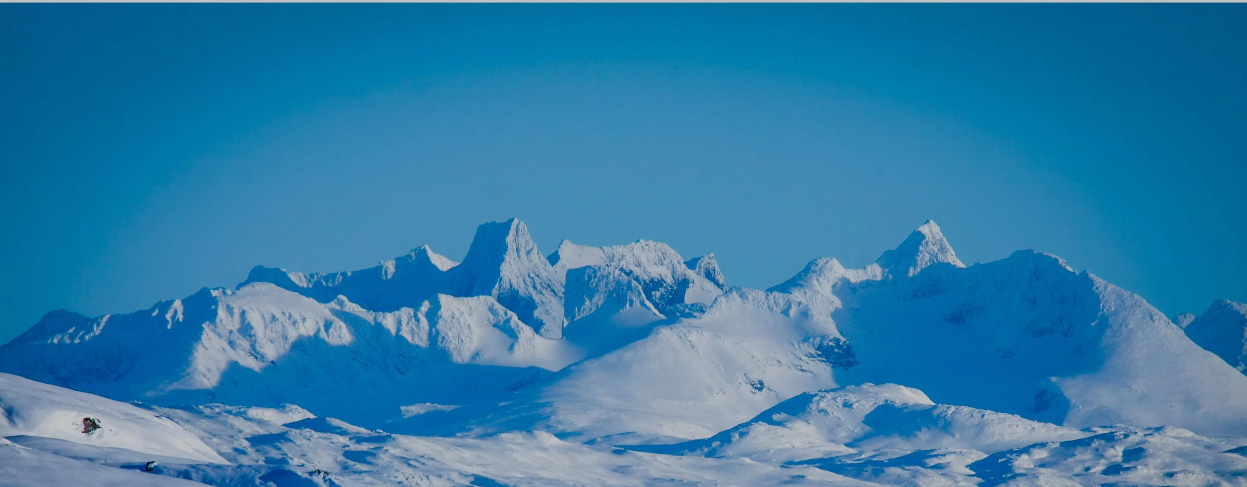 Background-about-us-Terje.jpg