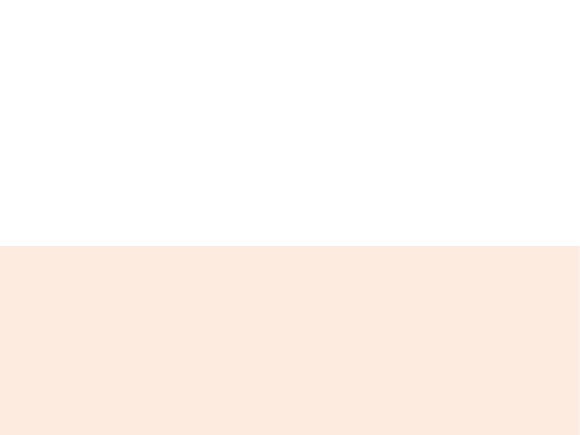 Liviano_halfbg_orange.png