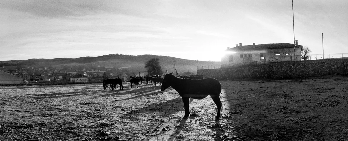 09_prespes_horizon_202_panoramic_3_13.jpg