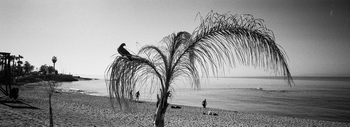 20220219_Xpan_HP5_Floisvos_2---02_1200.JPG