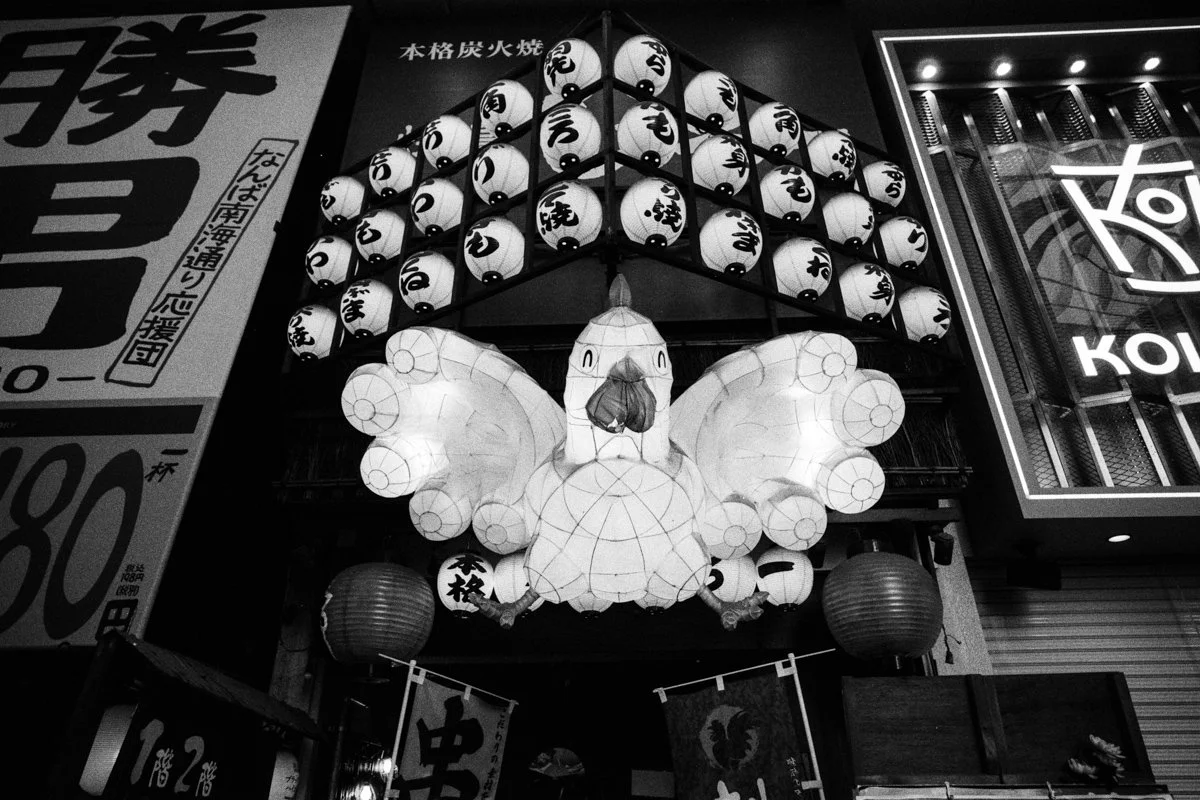  Contax G2 | Carl Zeiss 21mm/2.8 | Kentmere 400 