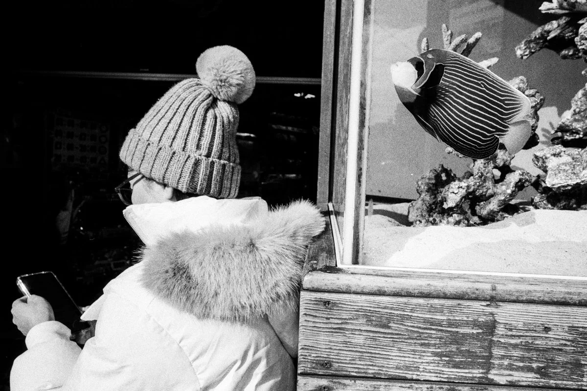  Contax G2 | Carl Zeiss 21mm/2.8 | Kentmere 400 