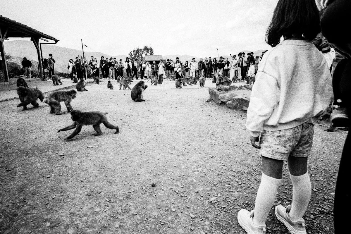  Contax G2 | Carl Zeiss 21mm/2.8 | Kentmere 400 