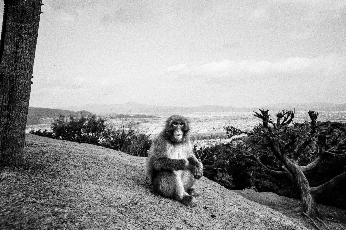  Contax G2 | Carl Zeiss 21mm/2.8 | Kentmere 400 
