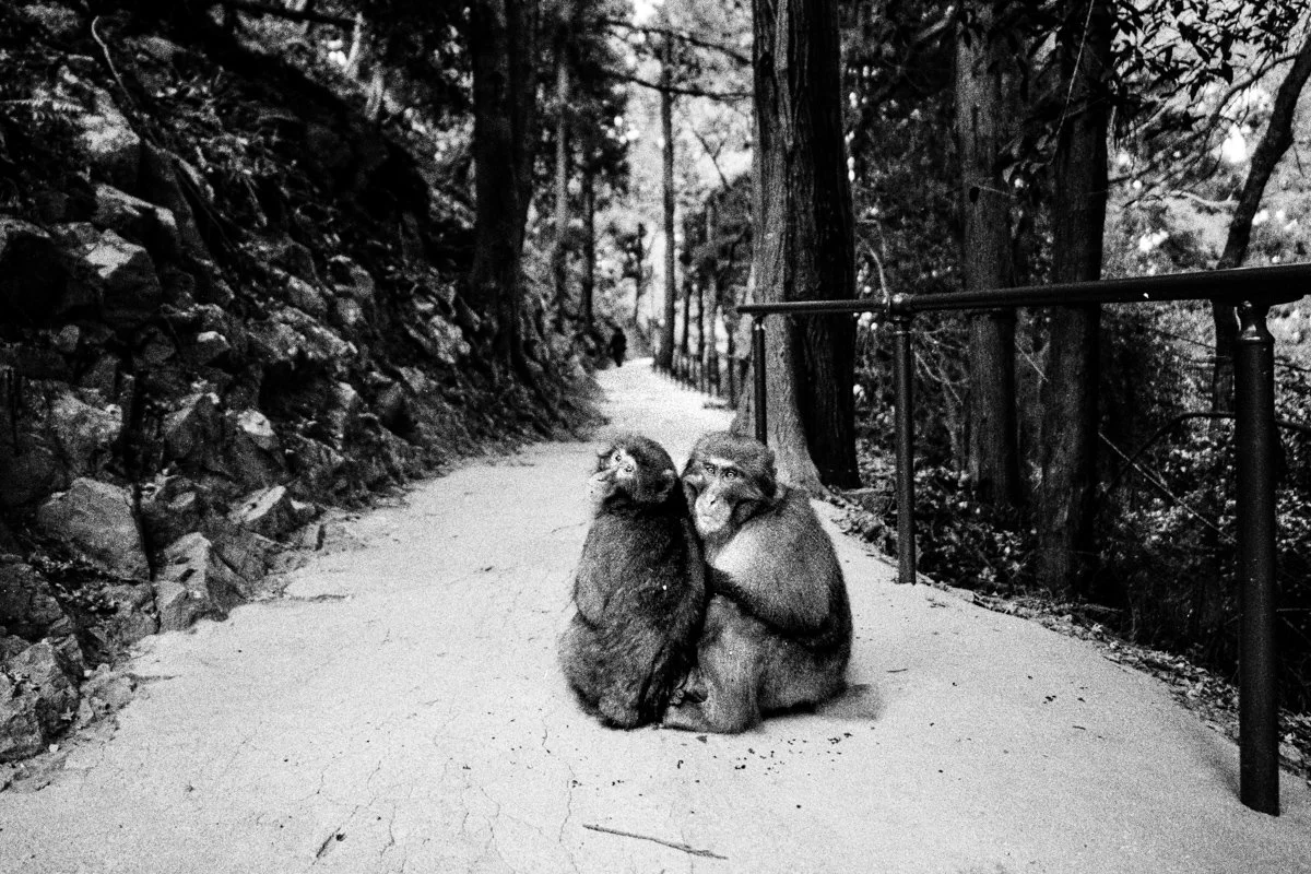  Contax G2 | Carl Zeiss 21mm/2.8 | Kentmere 400 