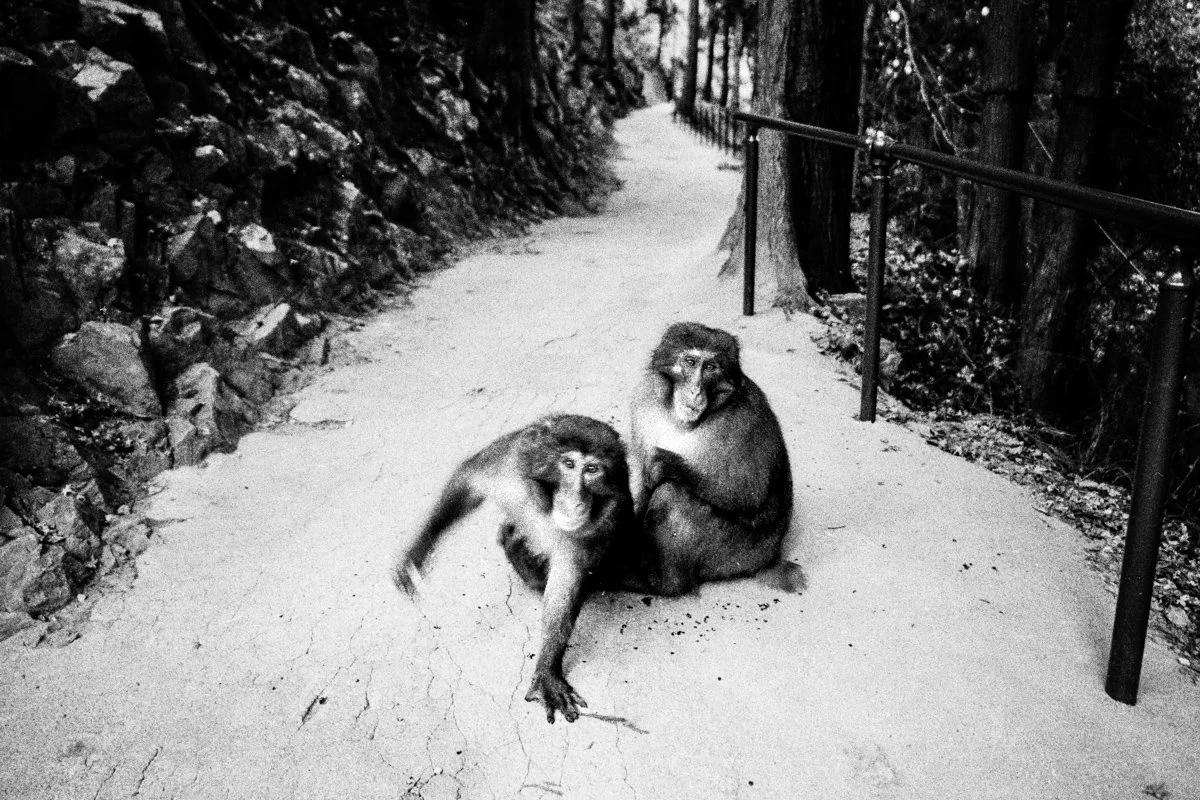  Contax G2 | Carl Zeiss 21mm/2.8 | Kentmere 400 